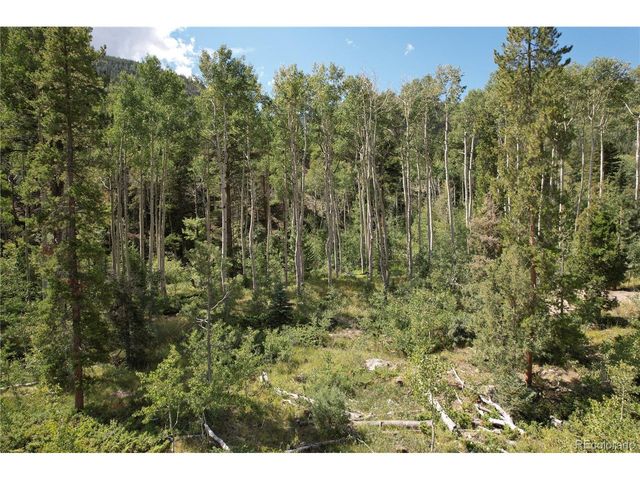 19039 Monarch River Dr, Salida, CO 81201