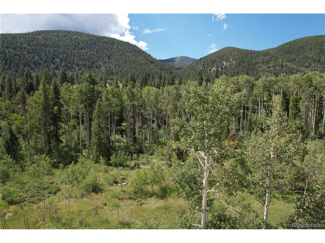 19039 Monarch River Dr, Salida, CO 81201