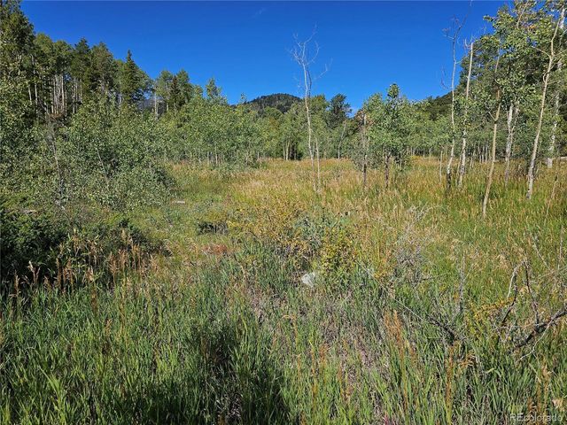 19039 Monarch River Dr, Salida, CO 81201