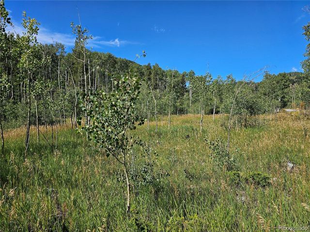 19039 Monarch River Dr, Salida, CO 81201