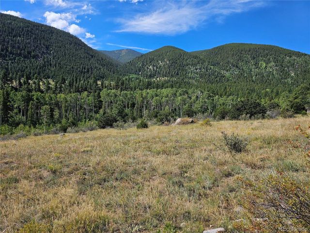 19039 Monarch River Dr, Salida, CO 81201