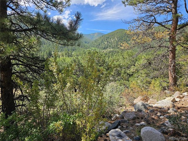 19039 Monarch River Dr, Salida, CO 81201