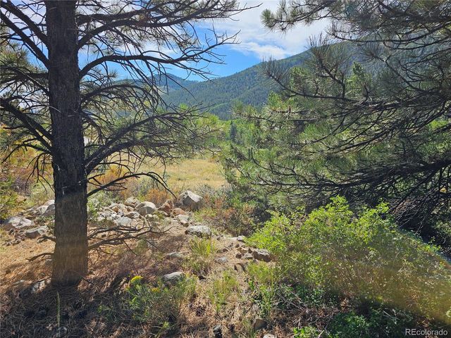 19039 Monarch River Dr, Salida, CO 81201