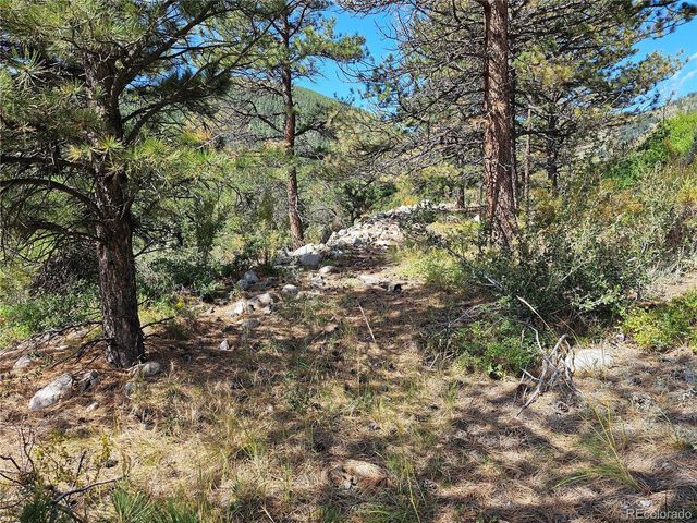 19039 Monarch River Dr, Salida, CO 81201