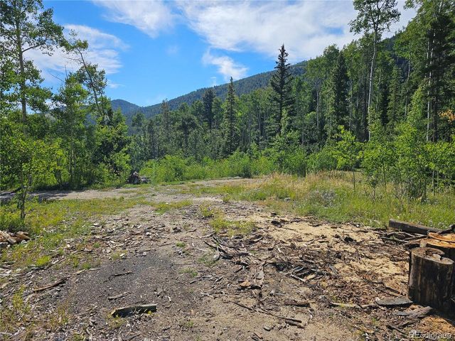 19039 Monarch River Dr, Salida, CO 81201