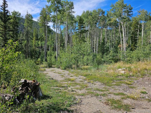 19039 Monarch River Dr, Salida, CO 81201