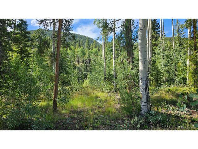19039 Monarch River Dr, Salida, CO 81201