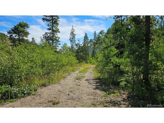 19039 Monarch River Dr, Salida, CO 81201