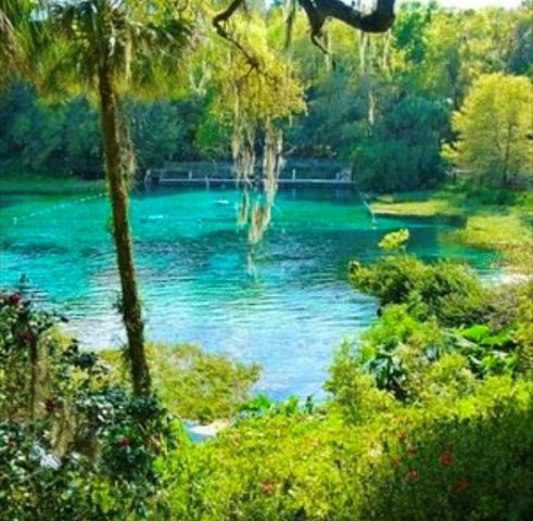 20167 SW 81ST STREET, Dunnellon, FL 34431