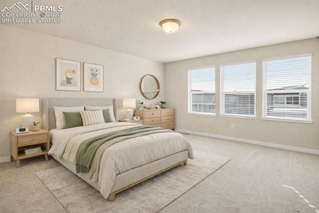 11460 Piping Plover Place, Colorado Springs, CO 80925