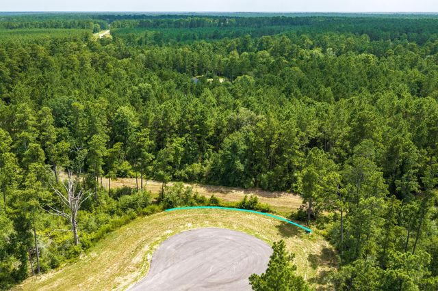 15802 Integrity Drive, Willis, TX 77378