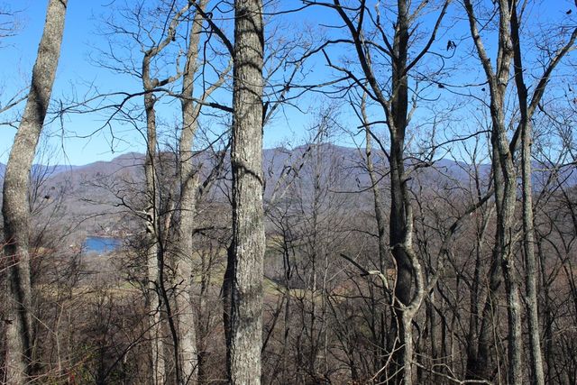 Lot 33 Eagles View, Hayesville, NC 28904