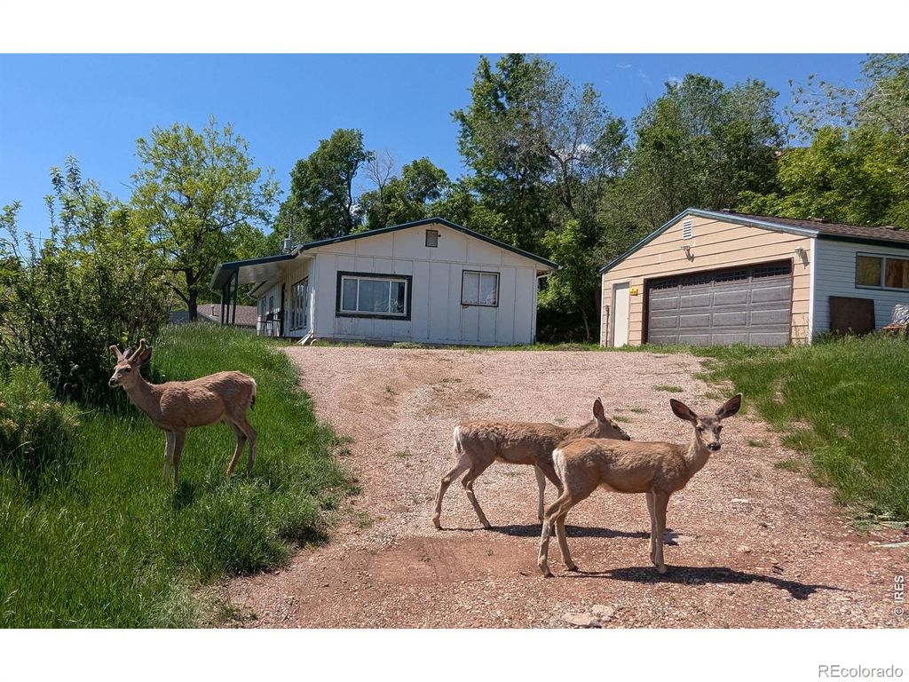 4809 Foothills Drive, Fort Collins, CO 80526