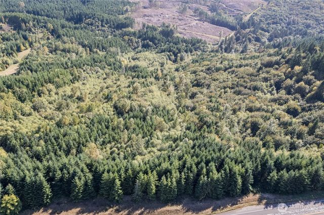 0 Lot 3 Spirit Lake Parcel WK3516013 Highway, Castle Rock, WA 98611