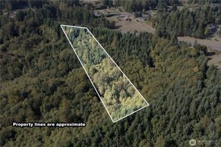 0 Lot 3 Spirit Lake Parcel WK3516013 Highway, Castle Rock, WA 98611