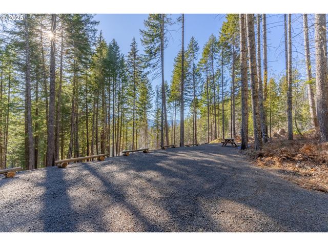 135 E WEBER St, Detroit, OR 97342