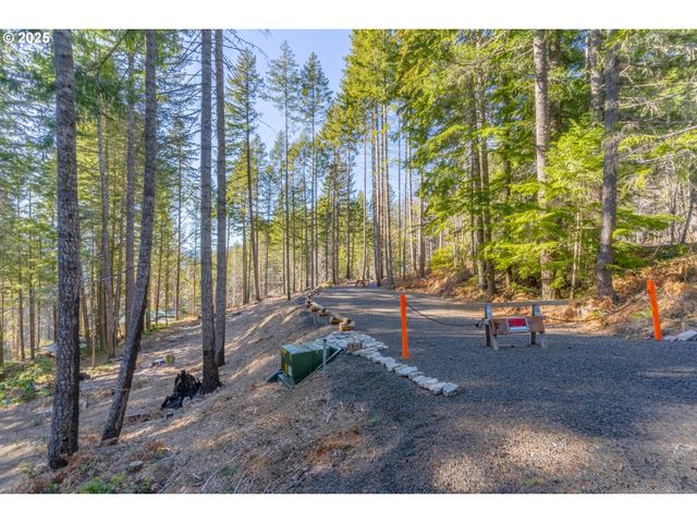 135 E WEBER St, Detroit, OR 97342