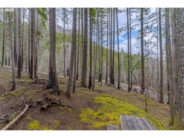 135 E WEBER St, Detroit, OR 97342