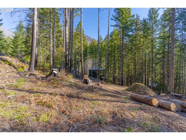 135 E WEBER St, Detroit, OR 97342