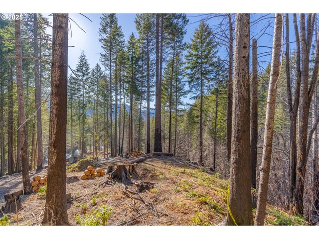 135 E WEBER St, Detroit, OR 97342