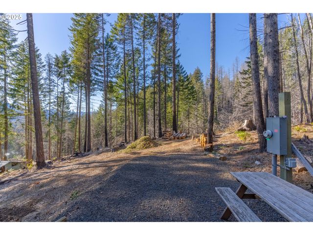 135 E WEBER St, Detroit, OR 97342