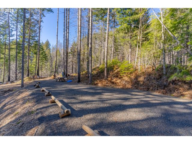 135 E WEBER St, Detroit, OR 97342