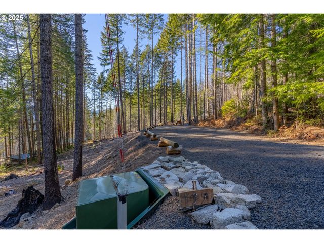 135 E WEBER St, Detroit, OR 97342