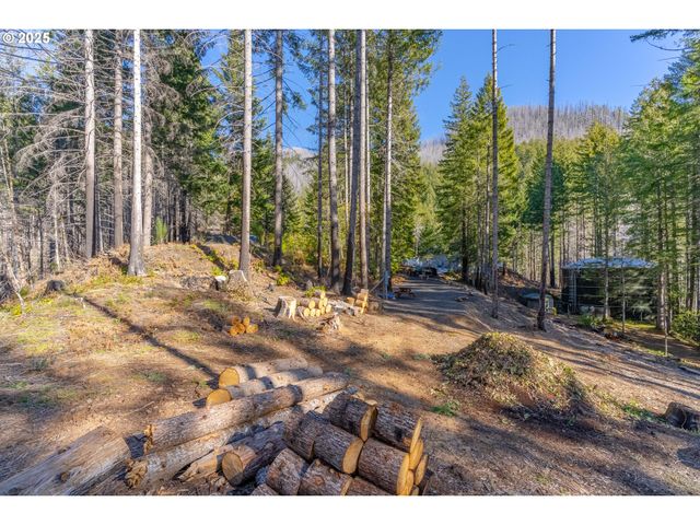 135 E WEBER St, Detroit, OR 97342