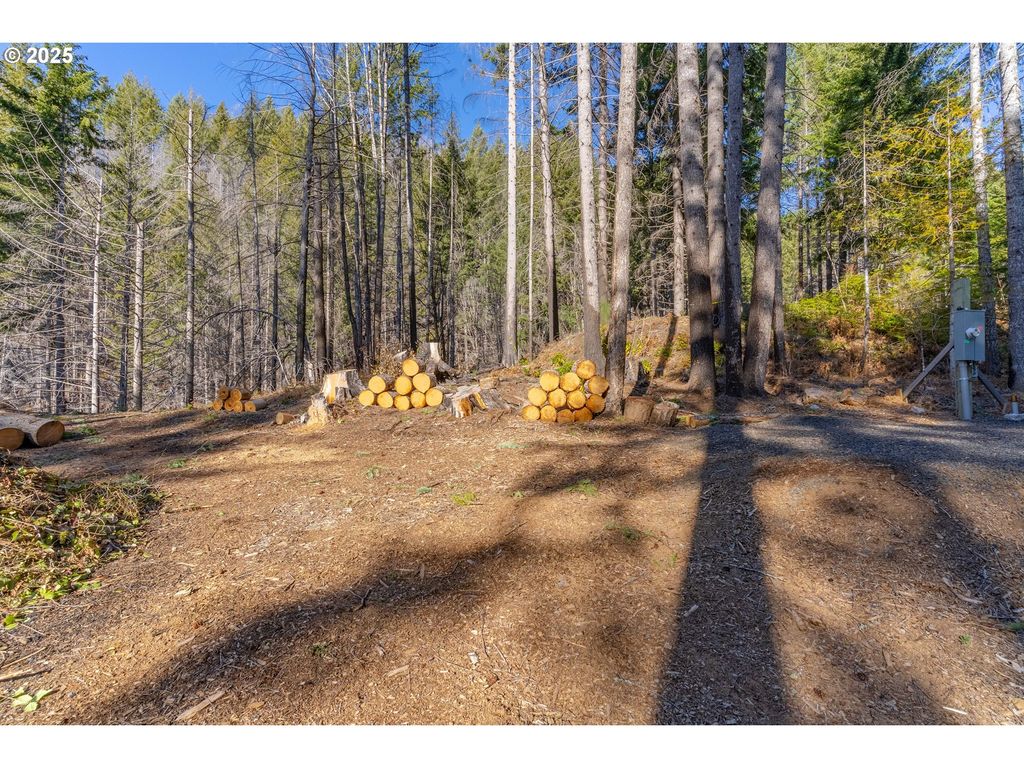 135 E WEBER St, Detroit, OR 97342