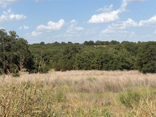 Lot 51 TBD Turkey Court, Perrin, TX 76486