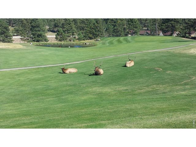 1250 S Saint Vrain Ave 14, Estes Park, CO 80517