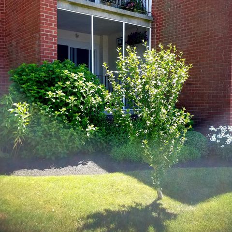 185 Melba Street APT 109, Milford, CT 06460