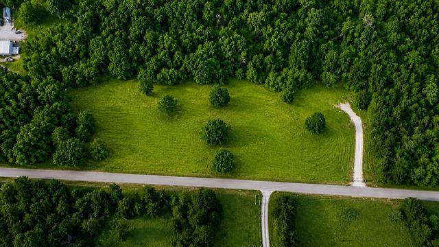 8625 Webb Rd, College Grove, TN 37046