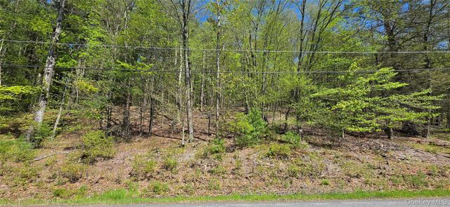 Hamilton Road, Monticello, NY 12701