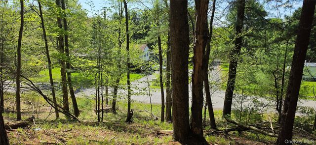 Hamilton Road, Monticello, NY 12701