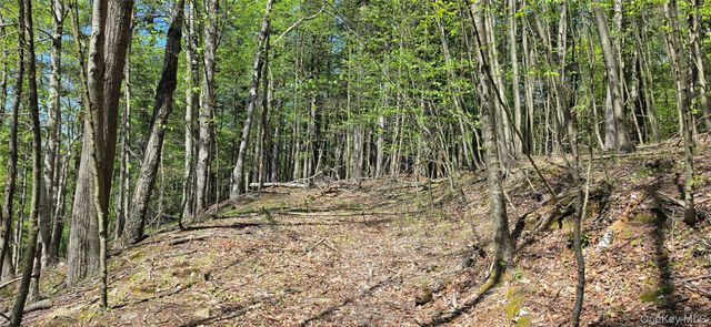 Hamilton Road, Monticello, NY 12701