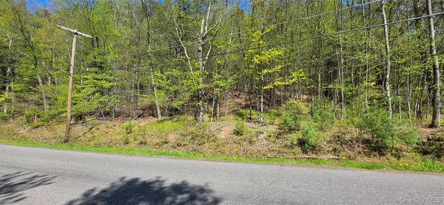 Hamilton Road, Monticello, NY 12701
