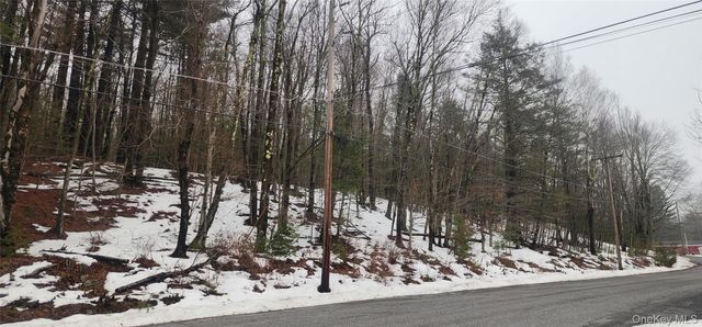 Hamilton Road, Monticello, NY 12701