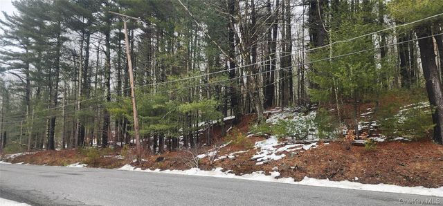 Hamilton Road, Monticello, NY 12701