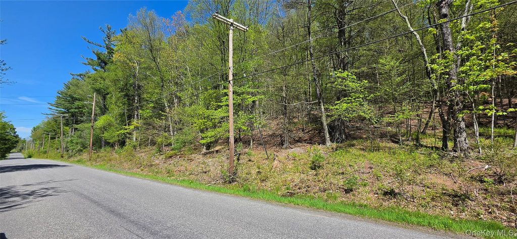 Hamilton Road, Monticello, NY 12701