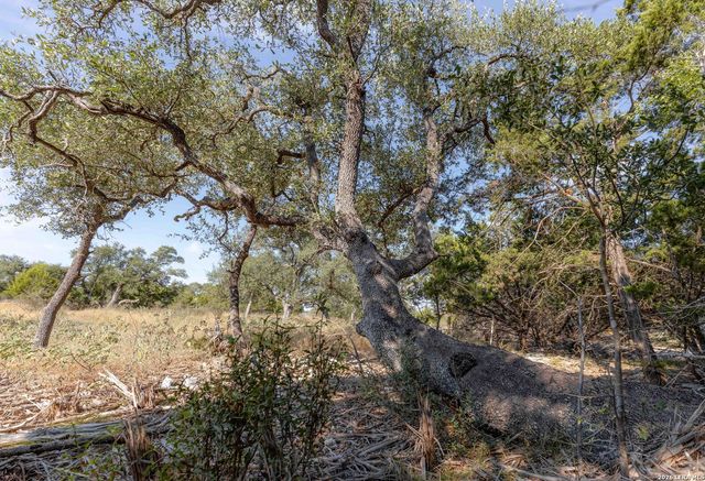 27719 SUNNY PT, San Antonio, TX 78266