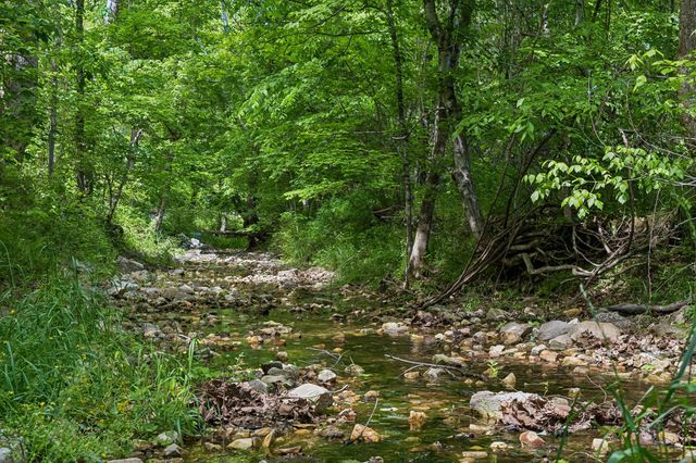 1675 Balthrop Branch Rd, Dickson, TN 37055