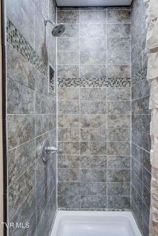 719 Walkers Bend Road, Gray, TN 37615