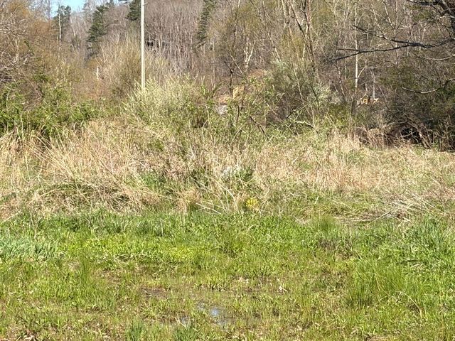 1025 State Highway 589, West Liberty, KY 41472