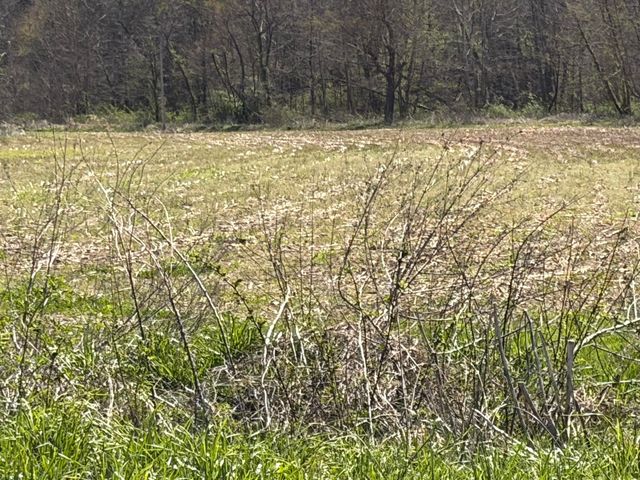 1025 State Highway 589, West Liberty, KY 41472