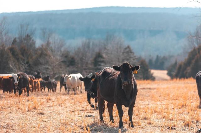 31501 Seminole Lane, Richland, MO 65556