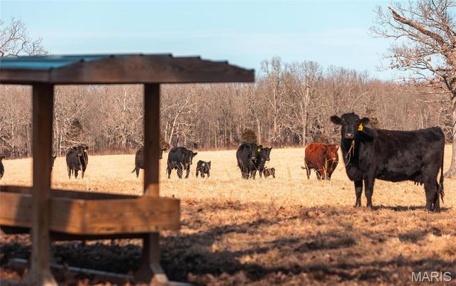 31501 Seminole Lane, Richland, MO 65556