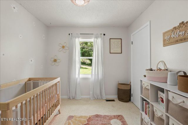 382 Tionesta Drive, Jacksboro, TN 37757