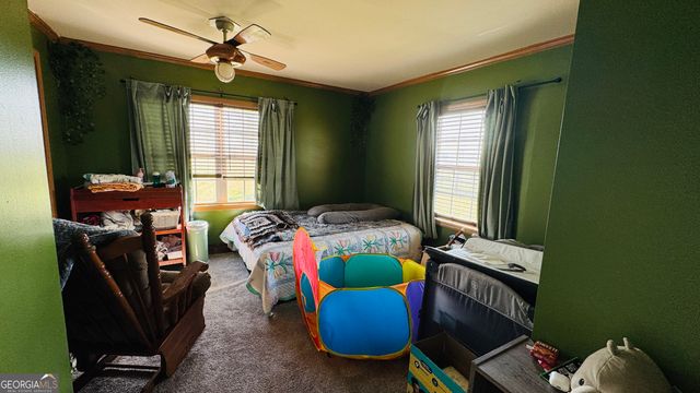 9297 Lynntown Road, Collins, GA 30421