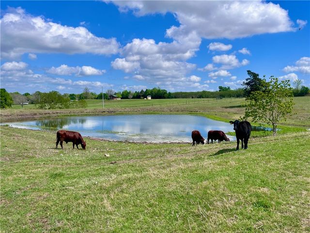 000 Marshall Lane - Tract B, Chappell Hill, TX 77426